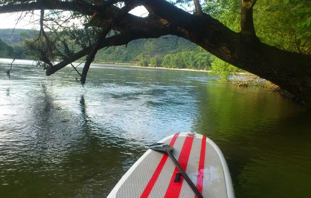 Stand Up Paddling Tour Kaub - 6