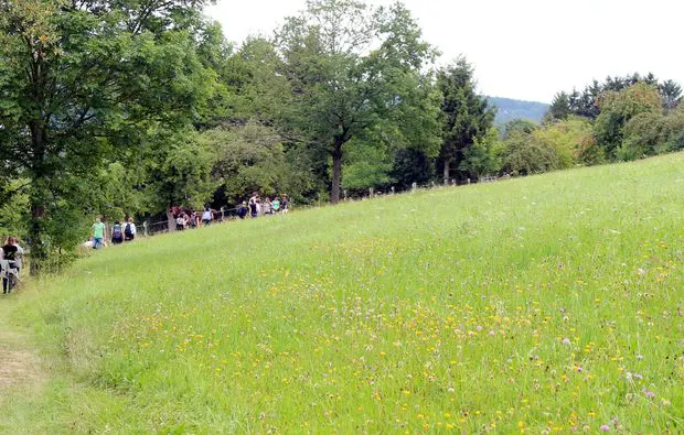 Kräuterwanderung Pliezhausen - 8