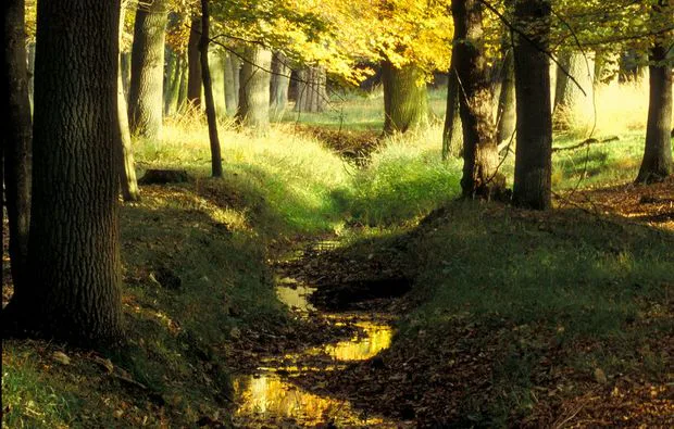 Fotokurs Dülmen