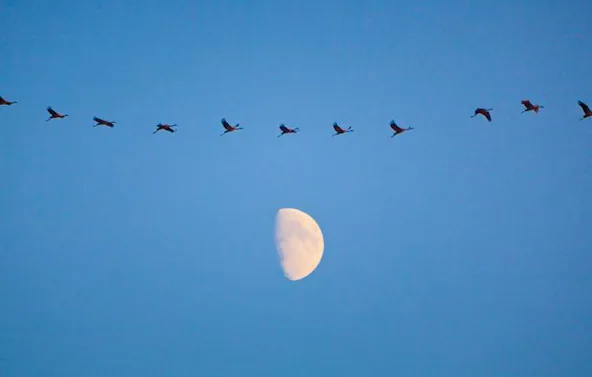 Fotografie-Workshop Erfurt