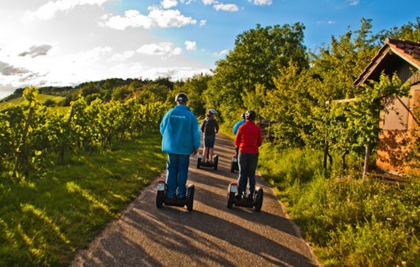 Segway-Tour Fellbacher Weinberge