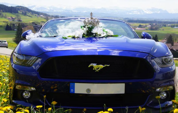 Mustang GT Cabrio fahren Karlsruhe (Wochenende) - 4
