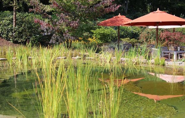 Romantikwellness für Paare Gronau