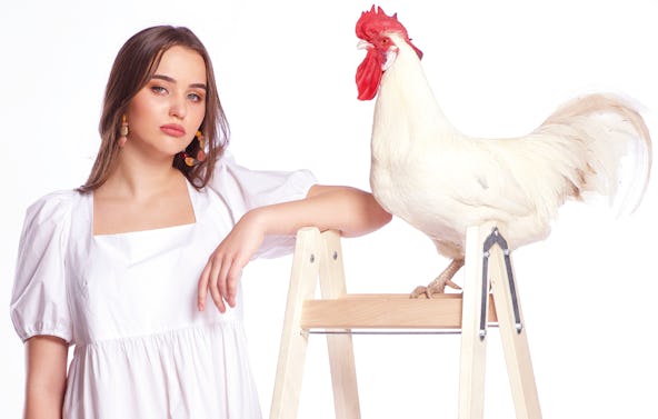 Tier Fotoshooting Berlin