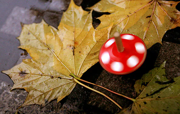 Fotokurs "Technik" München