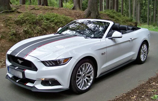 Mustang GT Cabrio fahren 1 Tag (Fr.-So.)  Berlin/Großbeeren - 7