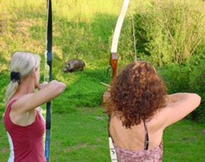 Bogenschießen 3D Bühlerzell