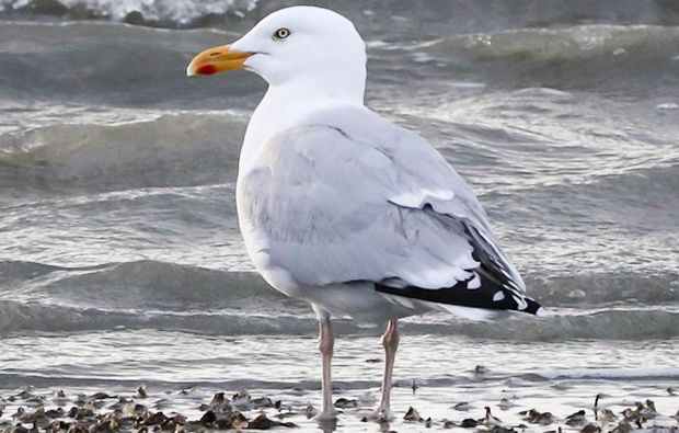 Fotokurs "Zoo" Wuppertal