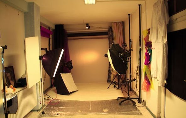 Tier Fotoshooting Karlsruhe