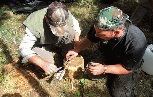 Survival Tag Benneckenstein