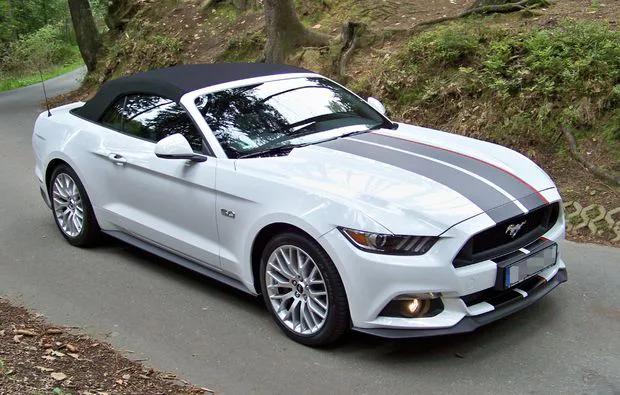 Mustang GT Cabrio fahren 1 Tag (Fr.-So.) Karlsruhe - 6