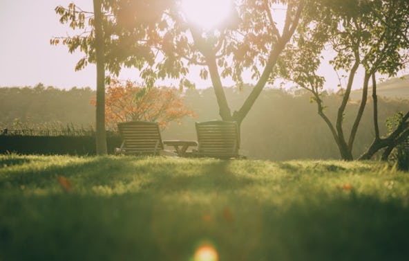 Weingut-Kurzurlaub an der Nahe für 2 (2 Nächte)