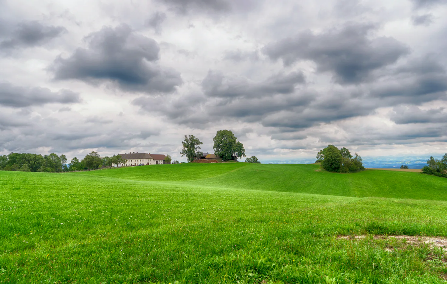 Alpaka Wanderung Sankt Thomas am Blasenstein für 2 - 4