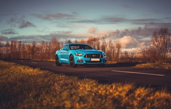 Ford Mustang Tagestour Hamburg