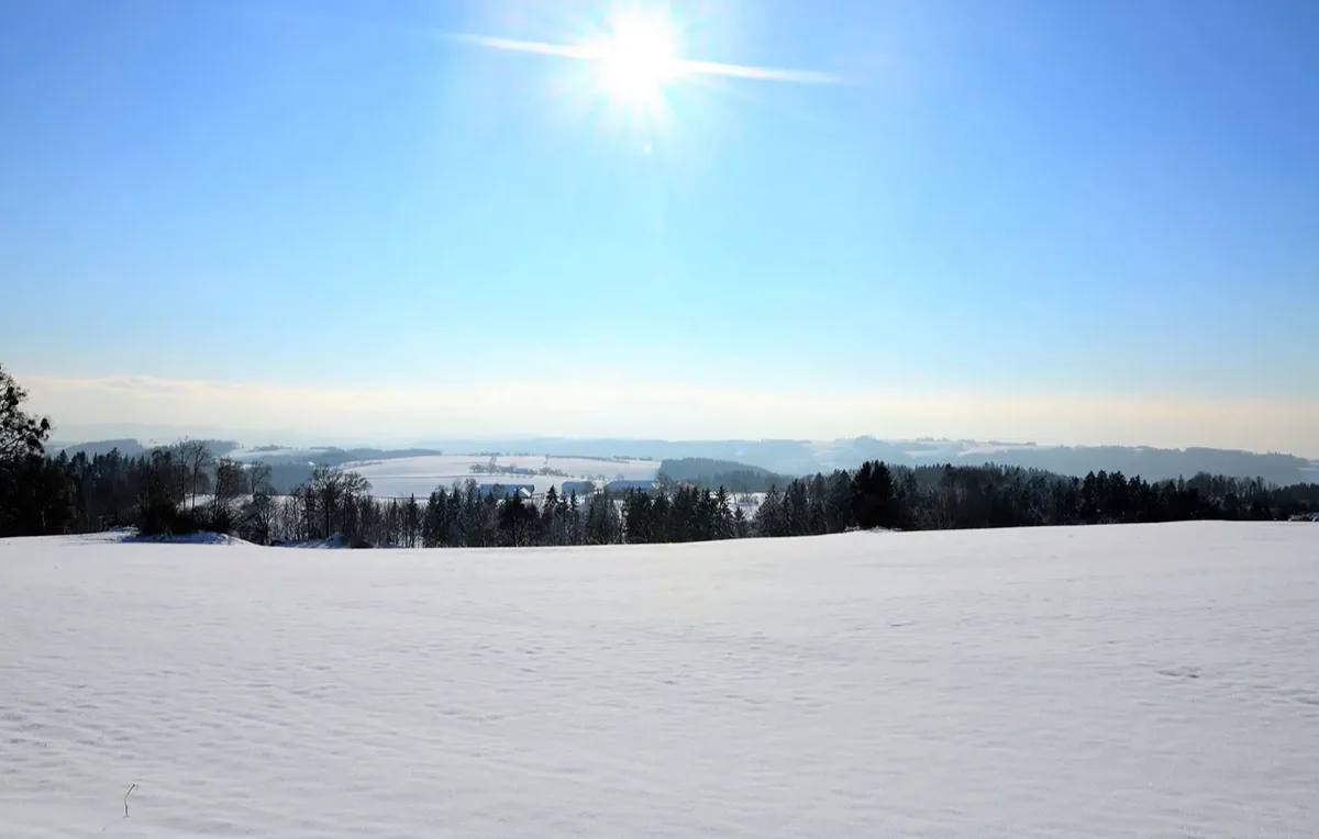 Alpaka Wanderung mit Glühwein Sankt Thomas am Blasenstein - 4