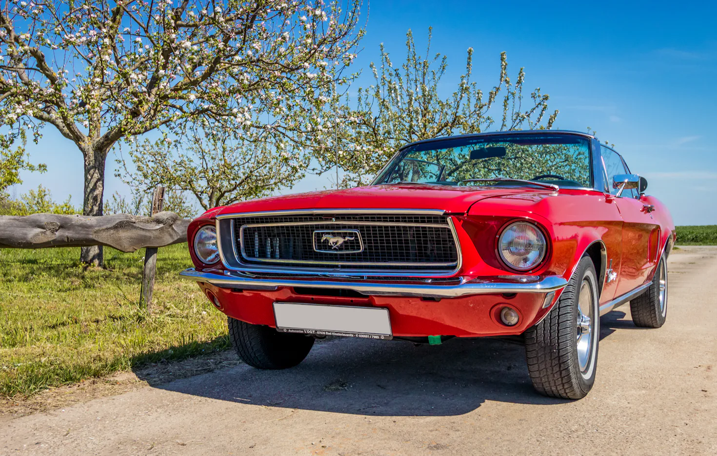 Mustang Oldtimer fahren 1 Tag (Mo.-Do.) Anzing bei München - 1