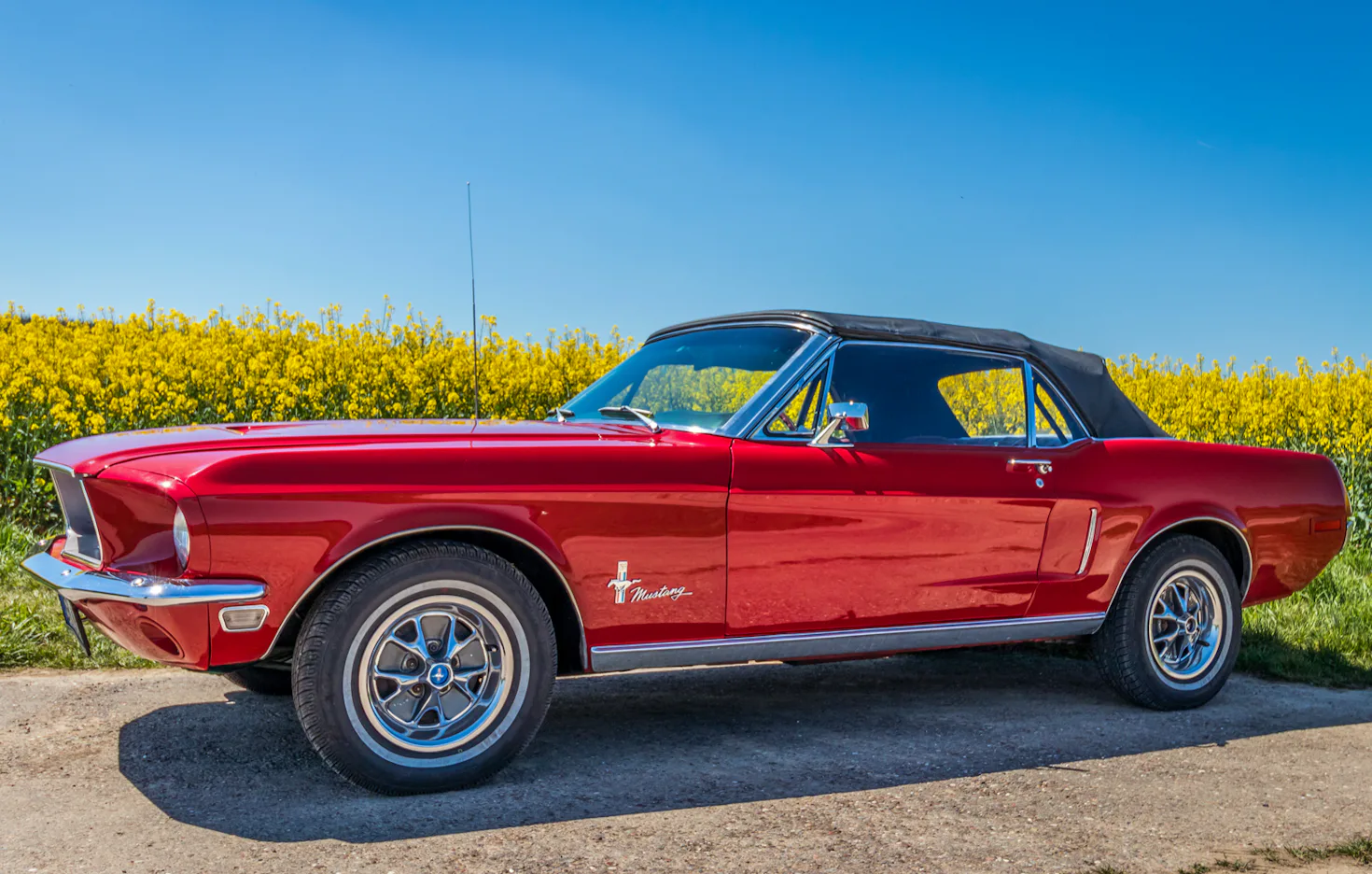 Mustang Oldtimer fahren 1 Tag (Mo.-Do.) Anzing bei München - 2