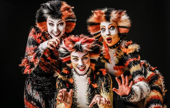 Musical Dinner Wuppertal