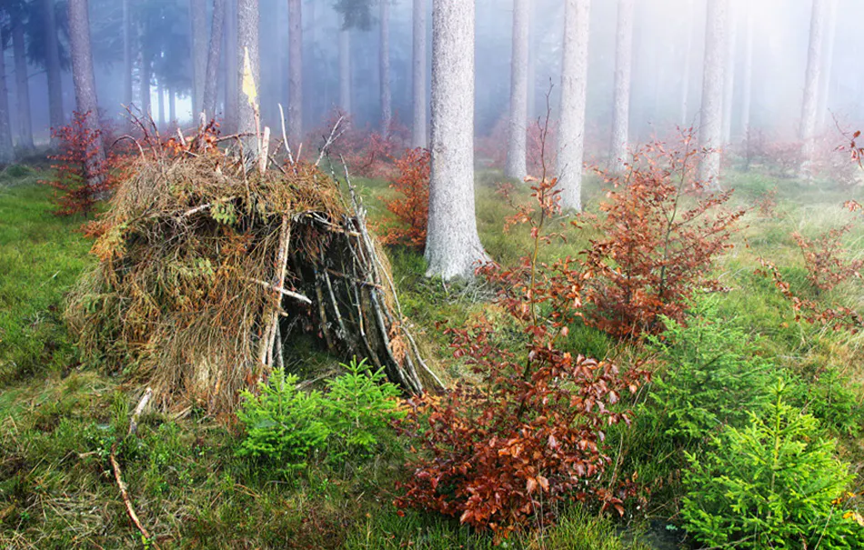 Survival Tag Mörfelden-Walldorf - 5