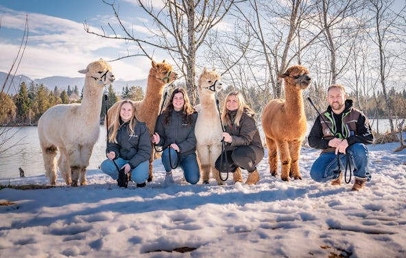 Alpaka Wanderung Lechbruck am See für 2