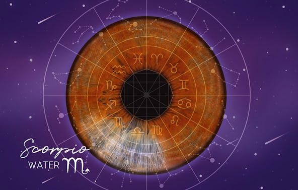 Iris Fotoshooting Ludwigshafen