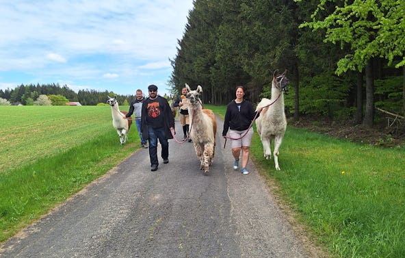 Lama Trekking Bärnau