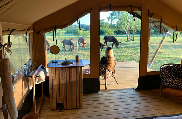 Camping im Tierpark Arche Warder für 2 (2 Nächte) - 1