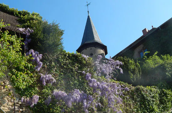 Gin selber machen in Schlüchtern-Elm - 5