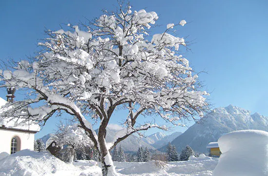 Kurzurlaub mit Schneeschuhwanderung in Tirol für 2 - 6