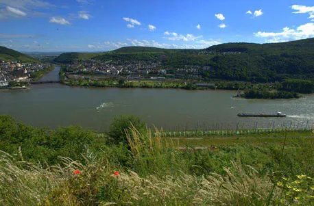 Übernachtung im Weinfass in Rüdesheim für 2 - 6