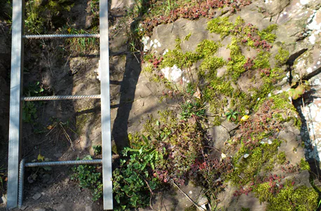 Weinbergwanderung mit Klettersteig an der Mosel - 3