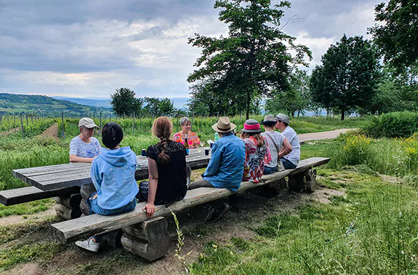 Weinwanderung Ingelheim am Rhein für 2 (2,5 Std.) - 1