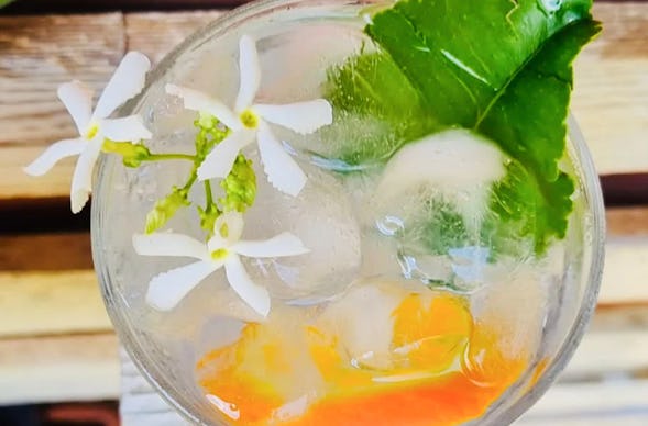 Gin Tasting Eppelheim