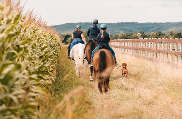 Wanderreiten Kapelln