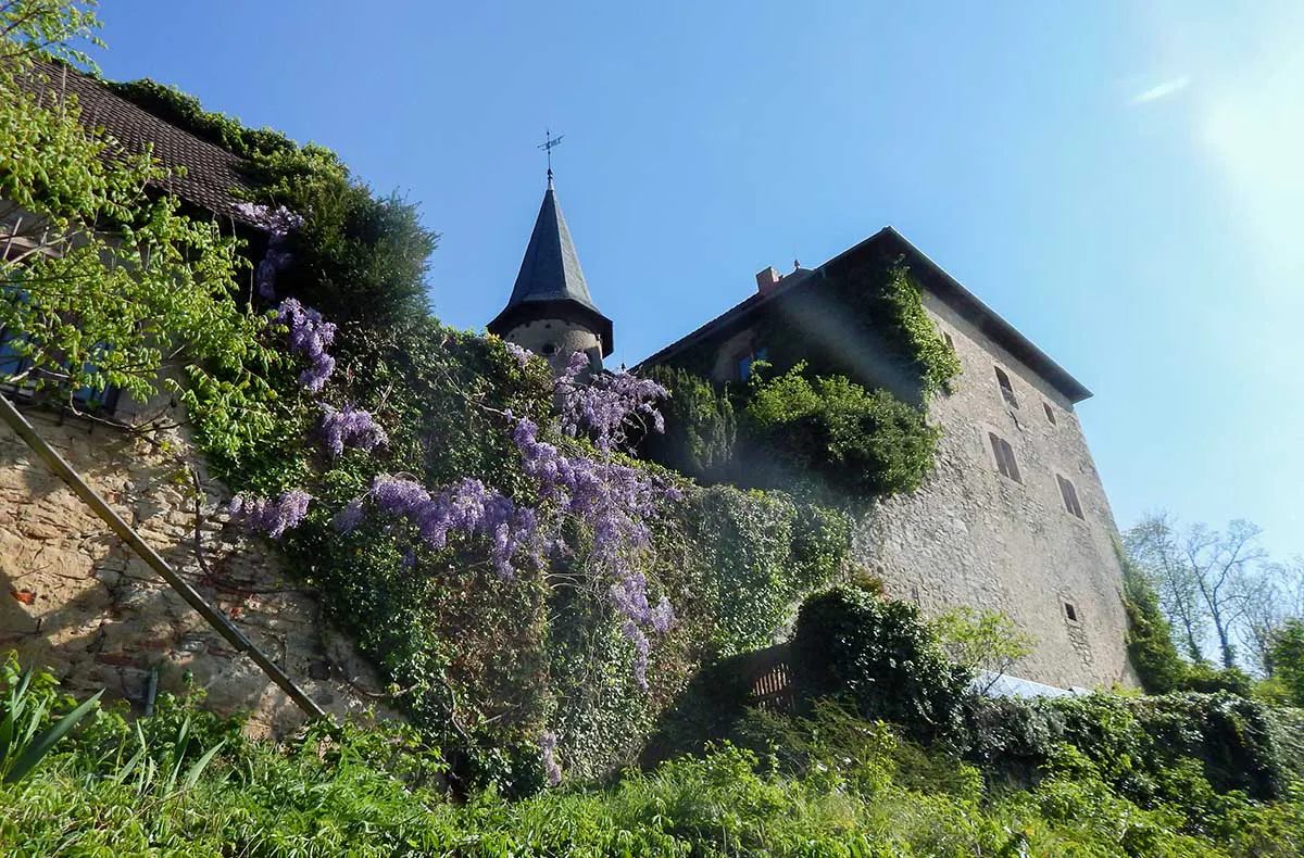 Axt schmieden auf Burg Brandenstein Schlüchtern - 7