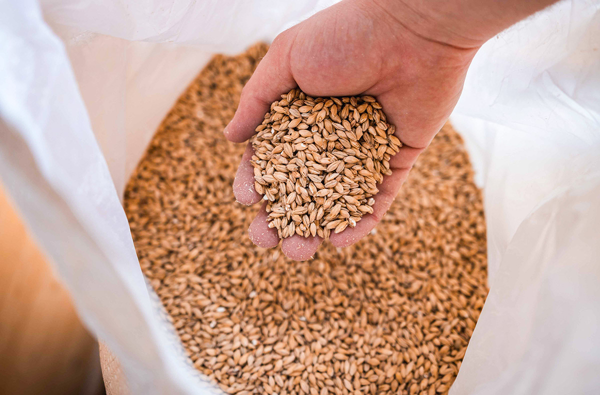 Bierbraukurs Schongau