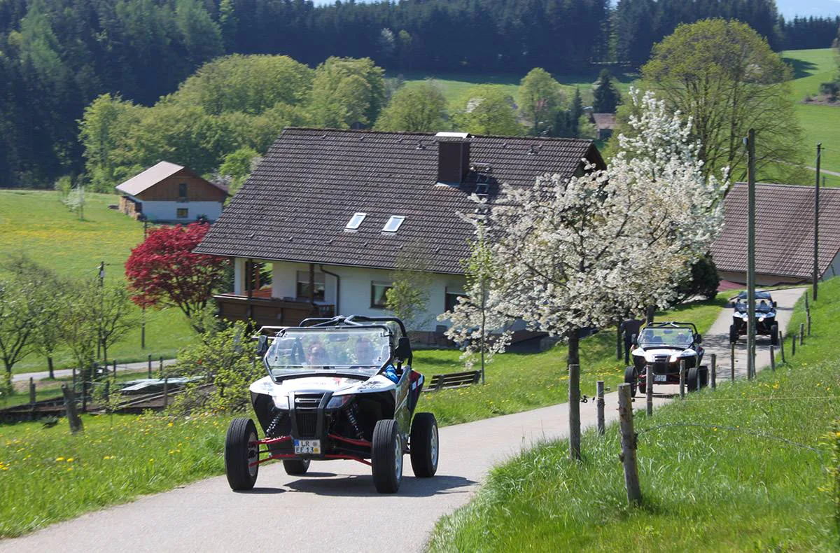 Side by Side Buggy Schwarzwald-Tour Meißenheim (5 Std.) - 1