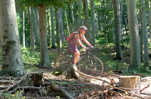 E-Mountainbike Tagestour Wien