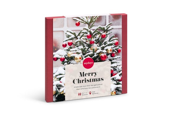 Geschenkbox Merry Christmas