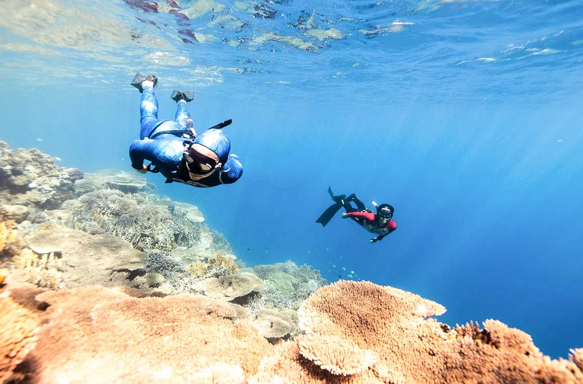 Freediving Tageskurs Steina - 3