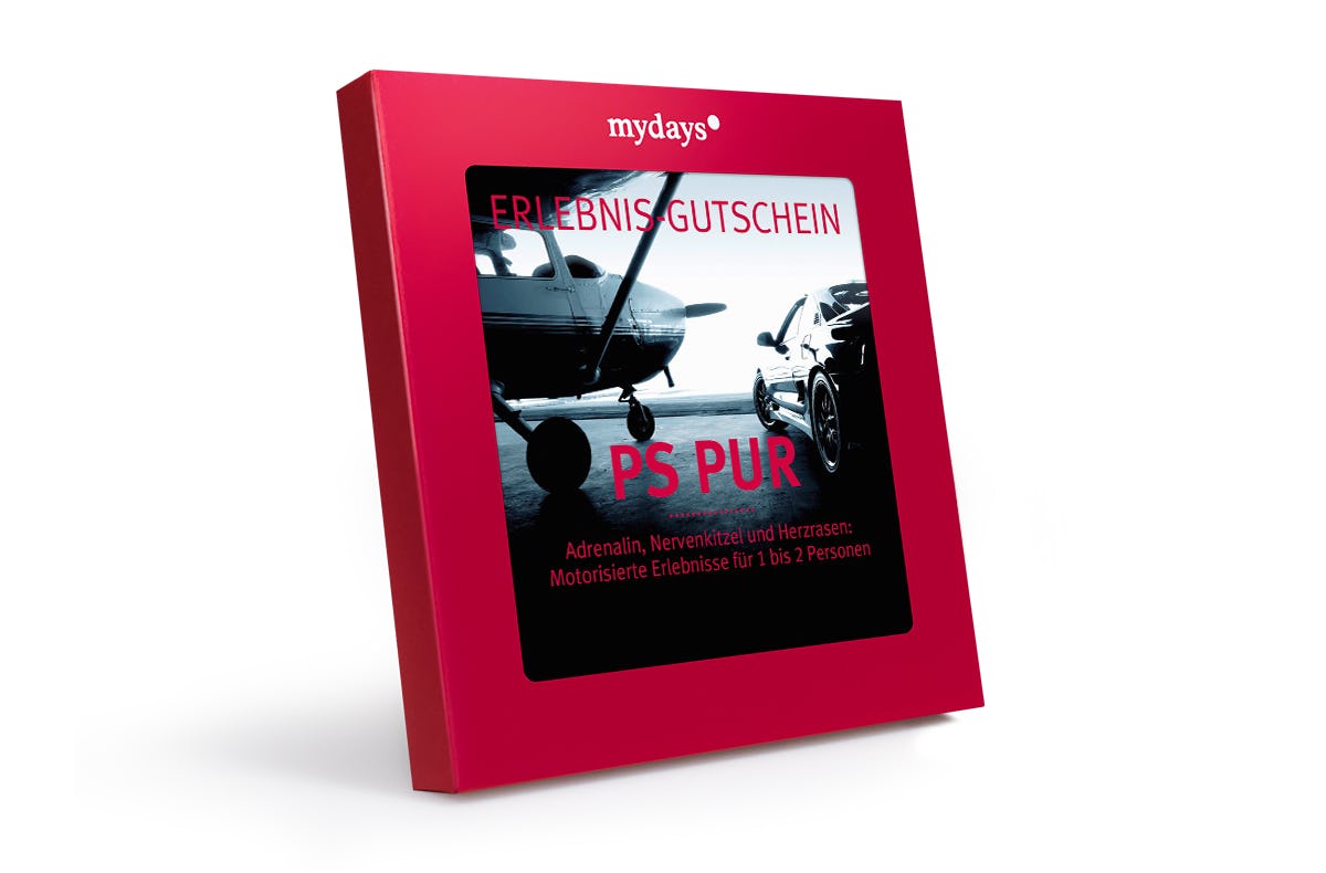 Geschenkbox PS Pur
