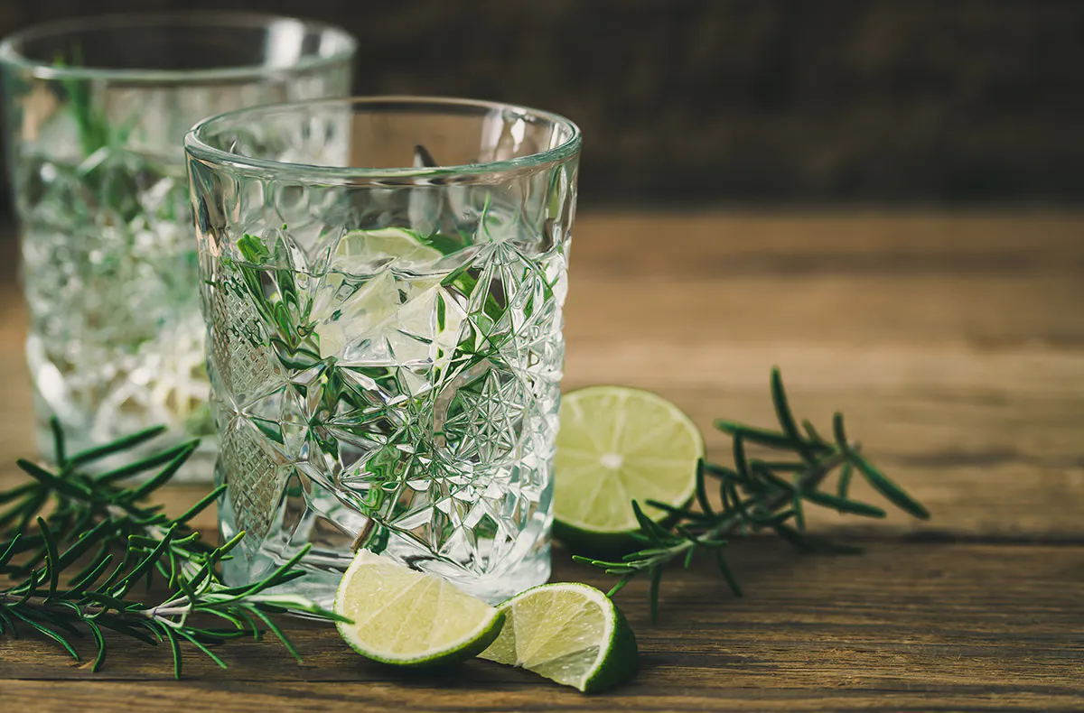 Gin Seminar Hamburg (für Einsteiger) - 5
