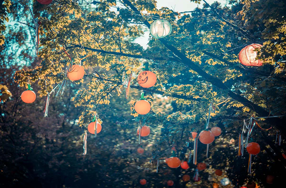 Halloween-Erlebnisreise im Serengeti-Park für 2 (1 Nacht) - 12
