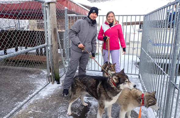 Schlittenhunde Abenteuer Ermenswil St. Gallen für 2