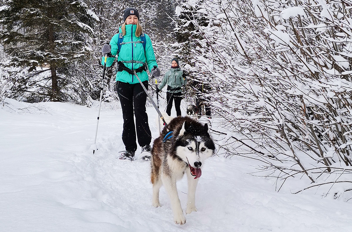Husky Schneeschuhtrekking Hohentauern für 2