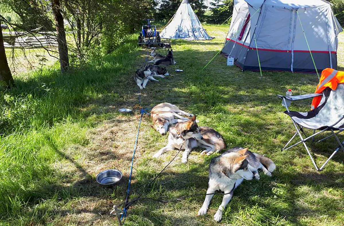 Husky-Trekking Mödingen - 3