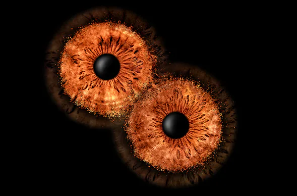 Iris Fotografie Fusion für 2 Haßfurt