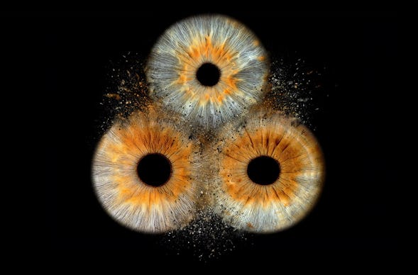 Iris Fotoshooting Zürich City