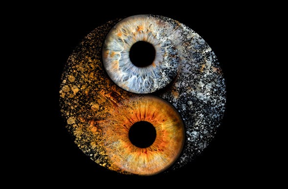 Iris Fotoshooting Sindelfingen