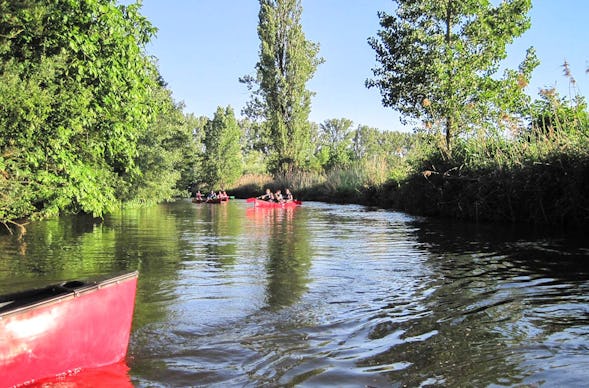 Kanutour Rheinfelden